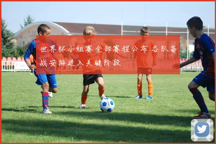 世界杯小组赛全部赛程公布 各队备战安排进入关键阶段