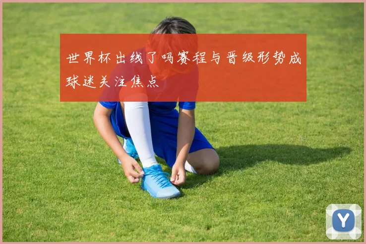 世界杯出线了吗赛程与晋级形势成球迷关注焦点