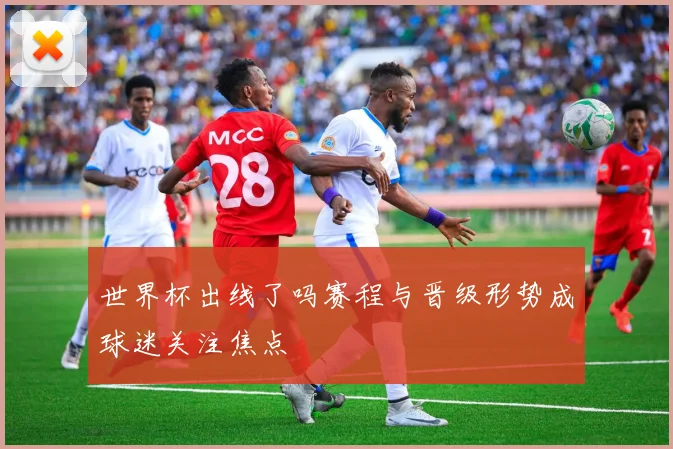 世界杯出线了吗赛程与晋级形势成球迷关注焦点