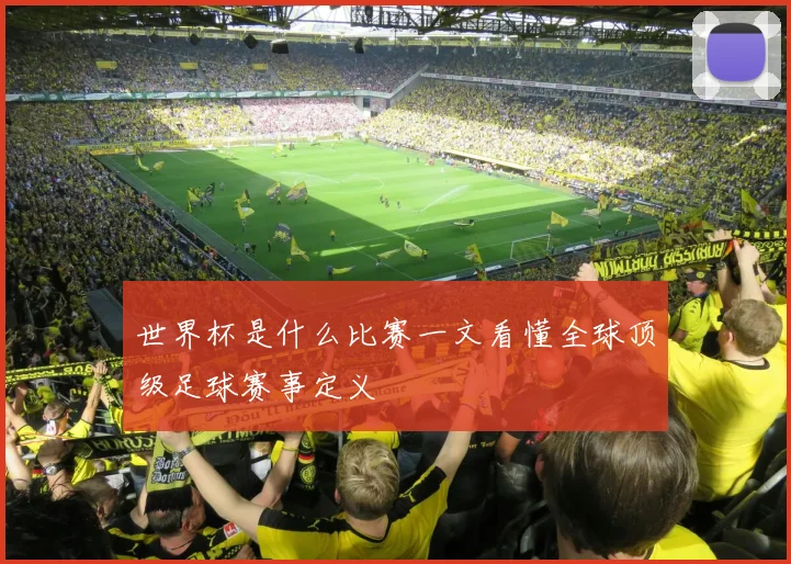 世界杯是什么比赛一文看懂全球顶级足球赛事定义