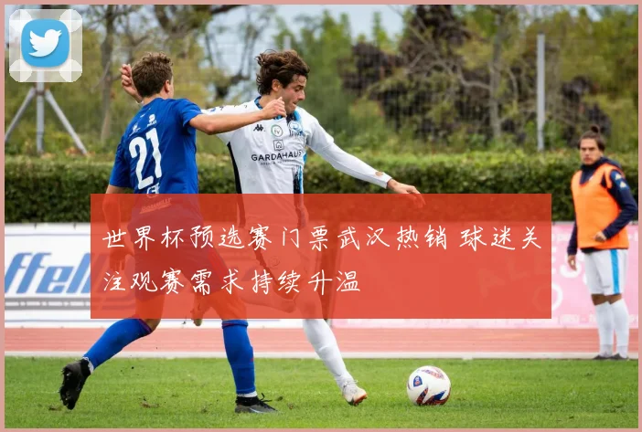世界杯预选赛门票武汉热销 球迷关注观赛需求持续升温