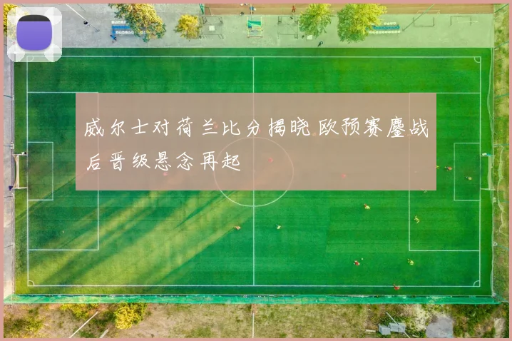 威尔士对荷兰比分揭晓 欧预赛鏖战后晋级悬念再起